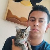 Independiente. Una linda mujer solo que