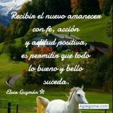 andresmambuca8000 chico soltero en Hialeah