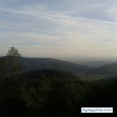 solerico chico soltero en Sa Pobla/la Pobla