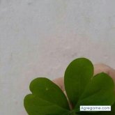 inmortalaaaaa chico soltero en Torres de la alameda