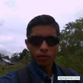 Fernel