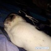 Chatear con cristiamromero de Sámara