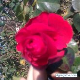 eugeni chico separado en Tarragona