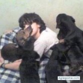 SanBecdach chico soltero en San Francisco De Mostazal