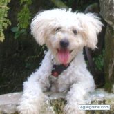 Elisa2 chica soltera en Texistepec