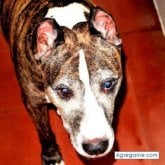 Completamente. Busco chatear. Chicas