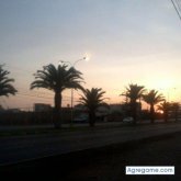 leoflores4607