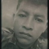 silvestrestallon6959