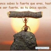 Alexander Martines