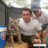 gustyyy chico soltero en General La Madrid