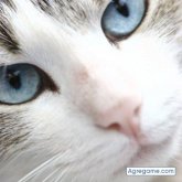 ArielRF chico soltero en Buceo