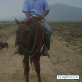 cesaro chico soltero en Chimbote