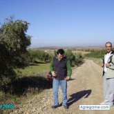 whoasst chico soltero en Arganda del rey