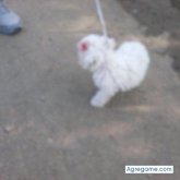 Foto de perfil de casituyo