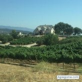 Chatear con Rolando185 de Agua Escondida  San Antonio Palopo