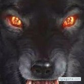 wolfhp chico soltero en Barquisimeto