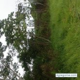 Chatear con Elco12 de Yacuiba