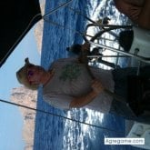 Publicidad. Busco pareja. Una buena