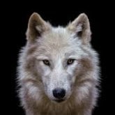 Busco pareja. Mujeres maduras. Delgado,