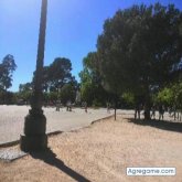 Danielito77 chico soltero en Oquendo