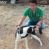 Busco amistades o algo mas. Mono ojos