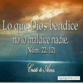 andresmambuca8000 foto #20