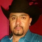 chepepalomino