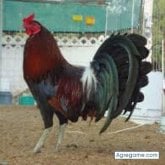 Foto de perfil de mover