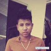 zombiee chico soltero en Hollywood