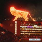 Alnor chico separado en Avellaneda