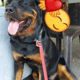 Busco pareja. Busco conocer. Una mujer.