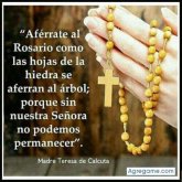 4183489 chico soltero en Tunja