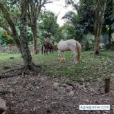 Foto de perfil de Ssnto098