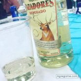 Foto de perfil de Picton