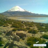 luisjofrecorvacho foto #10