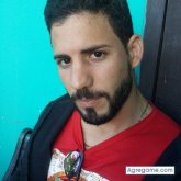 Bichiton chico soltero en Tampa