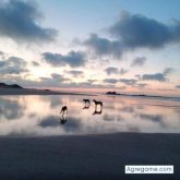 roderodenas chico soltero en 