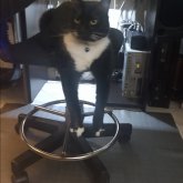 Descomplicado. La seriedad y sin