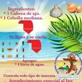 juansolis1145 chico soltero en Chitré