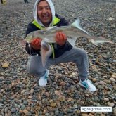 Angel77222 chico soltero en Bella Vista