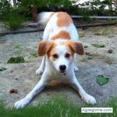 elvideos chico soltero en Puerto Padre