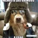 Foto de perfil de Tigre12123