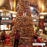 nelsonhuaccha chico soltero en Trujillo