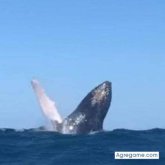 Flacojade chico soltero en Cabarete