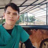 Médico veterinario. Busco ligar. Una