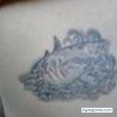 tattoo foto #14