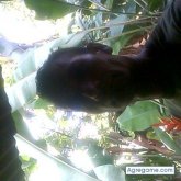 Chatear con rayoi de Guanta