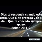 andresmambuca8000 foto #13