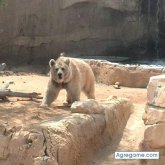 Nada en concreto. Devertido y sincero.