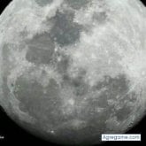 Mantenimiento. Busco pareja. Mujeres